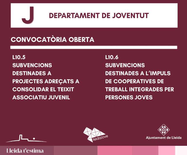 Subvencions Departament de Joventut 2026