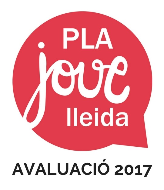 imatge avaluació pla jove 2017